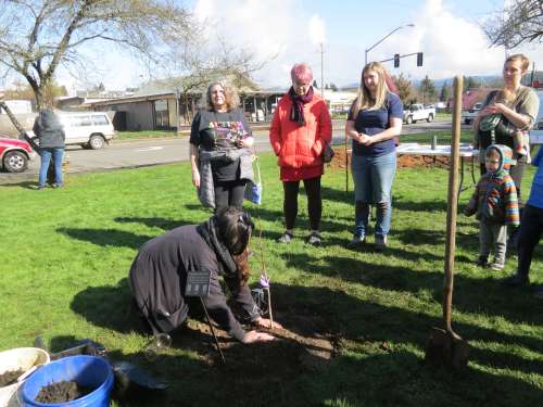 The planted tree with origami cranes tied to the stem and an informational plaque, a women with water standing and giving a blessing surrounded by onlookers